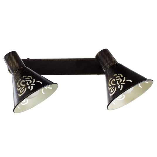 Фото Спот Arte Lamp CONO A5218AP-2BR