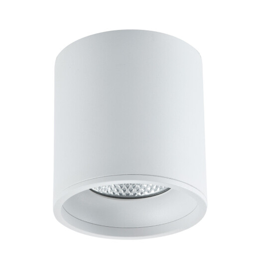 Фото ST165.542.12 Светильник потолочный Белый LED 1*12W 4000K 840Lm Ra>90 36° IP44 D80xH85 85-265V Накладные светильники