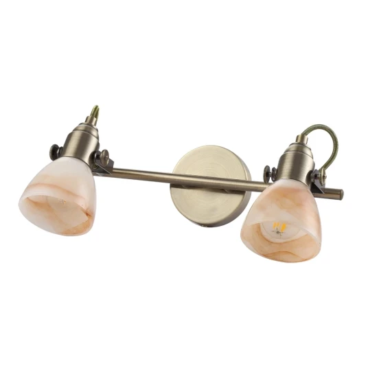 Фото Спот Arte Lamp TULIP A9581AP-2AB