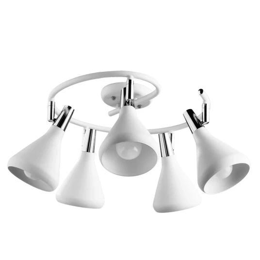 Фото Спот Arte Lamp CICLONE A9155PL-5WH