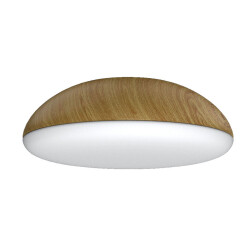 Фото 8133 Потолочный светильник KAZZ