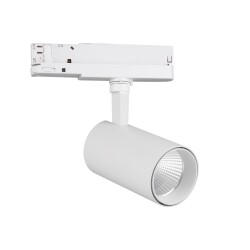 Фото 7202 Спот FUJI