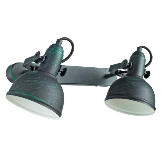 Фото Спот Arte Lamp MARTIN A5213AP-2BG
