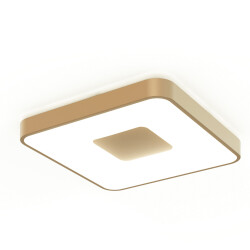 Фото 7926 Потолочный светильник COIN