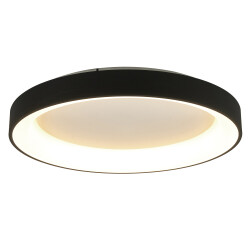 Фото 8581 Потолочный светильник NISEKO II