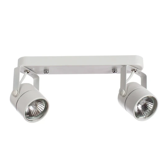 Фото Спот Arte Lamp LENTE A1310PL-2WH