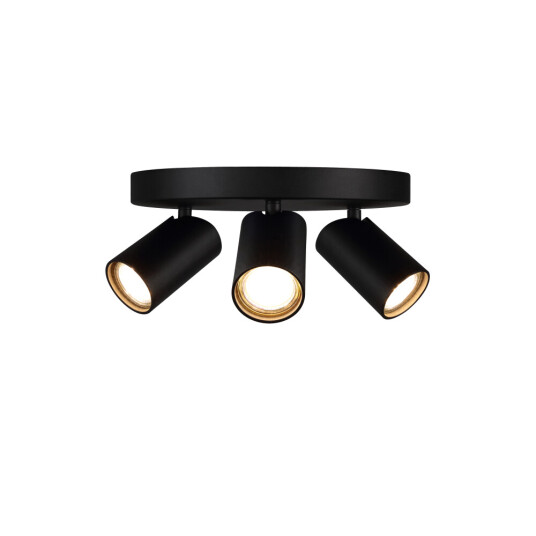 Фото 7962 Потолочный светильник-спот SAL