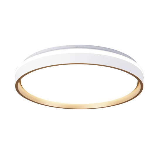 Фото 9026 Потолочный светильник VERONA