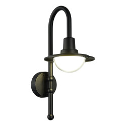 Фото SL9512.401.01 Светильник уличный настенный ST-Luce черный/Прозрачный LED 1*10W 4000K PROCHE