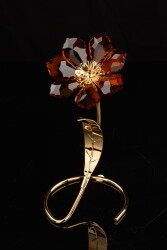 Фото Цветок