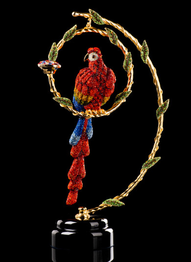 Фото Попугай