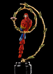 Фото Попугай