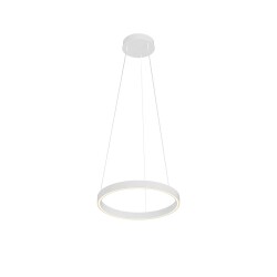 Фото Подвесной светильник Maytoni MOD058PL-L22WK