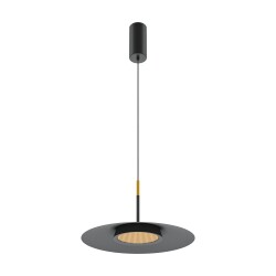 Фото Подвесной светильник Maytoni MOD041PL-L15B3K1