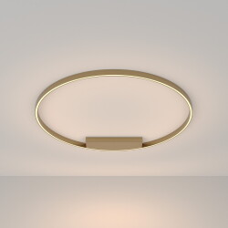 Фото Потолочный светильник Maytoni MOD058CL-L65BS3K