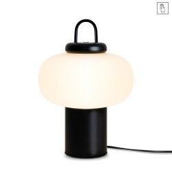 Фото Настольный светильник Freya FR6175TL-L10B