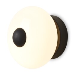 Фото Настенный светильник (бра) Freya FR5553WL-L6B