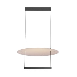 Фото Подвесной светильник Maytoni MOD280PL-L30B3K1