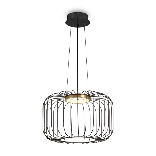 Фото Подвесной светильник Freya FR5398PL-L8B