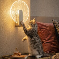 Фото CL248021 JAZZY Бра