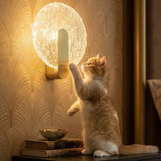 Фото CL248023 JAZZY Бра