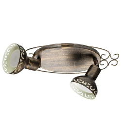 Фото Спот Arte Lamp FOCUS A5219AP-2BR