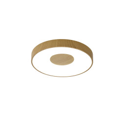 Фото 7568 Потолочный светильник COIN